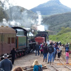 Everyone - back on board please