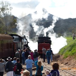 The crowd just loved all the steam