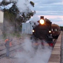 Good bye to the Pichi Richi