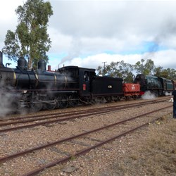 NM25 and Engine No 22 about to part ways