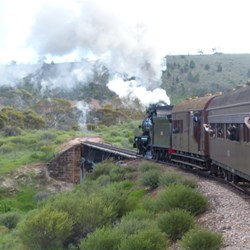 NM25 putting on a great display