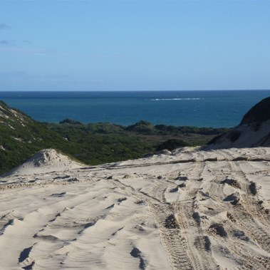 Dunes seaward