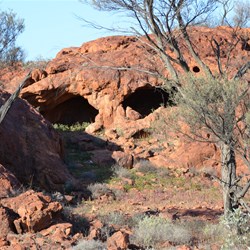 They look like big eyes watching you