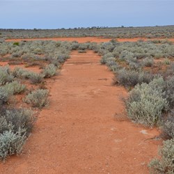 The Glenloft residence liked their game of cricket