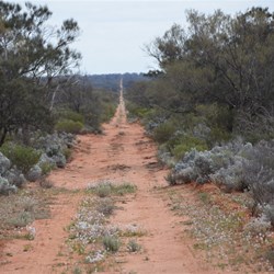Good Station track from Yerda to the Dog Fence