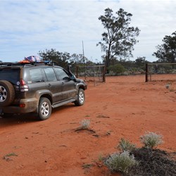 Arriving at the Dog Fence