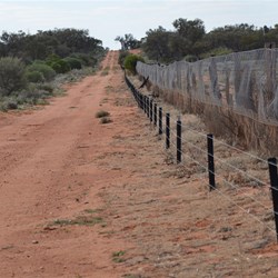 Smaller electrified fence to stop Wombats from digging under the Dog Fence