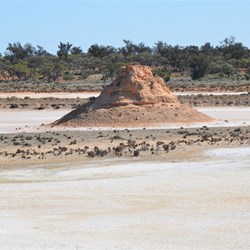 Features seen while on the Dog Fence
