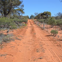 Ever changing scenery while travelling the Dog Fence