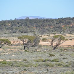 Mount Finke from the Dog Fence