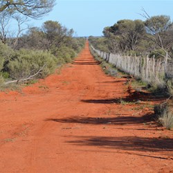 The Dog Fence runs due west from Mount Christie Corner