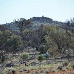 Mount Christie trig point just inside the Dog Fence access