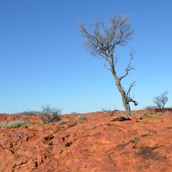 Conditions are hard out on the rocks