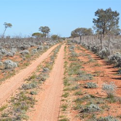Ever changing scenery while travelling the Dog Fence