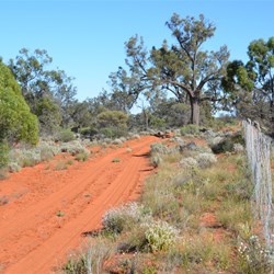 Ever changing scenery while travelling the Dog Fence