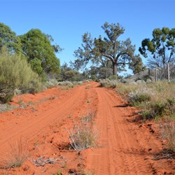 Ever changing scenery while travelling the Dog Fence