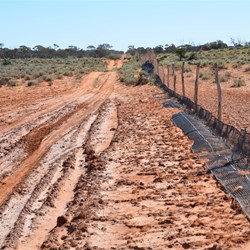 Ever changing scenery while travelling the Dog Fence