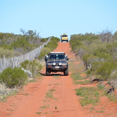 John travelling along the Dog Fence