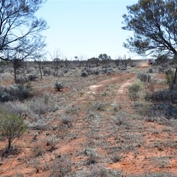 This cleared line off the Nawa Junction Track was only good for around 400 metres....then there was nothing 