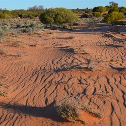 Wilkinson Lakes sand patterns 