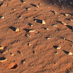 If only these Aboriginal stone chip chipping's could talk