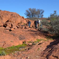 Exploring another small gully