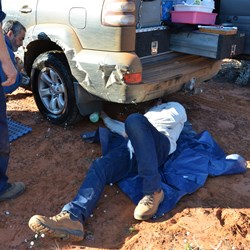 No one escaped punctures....including me