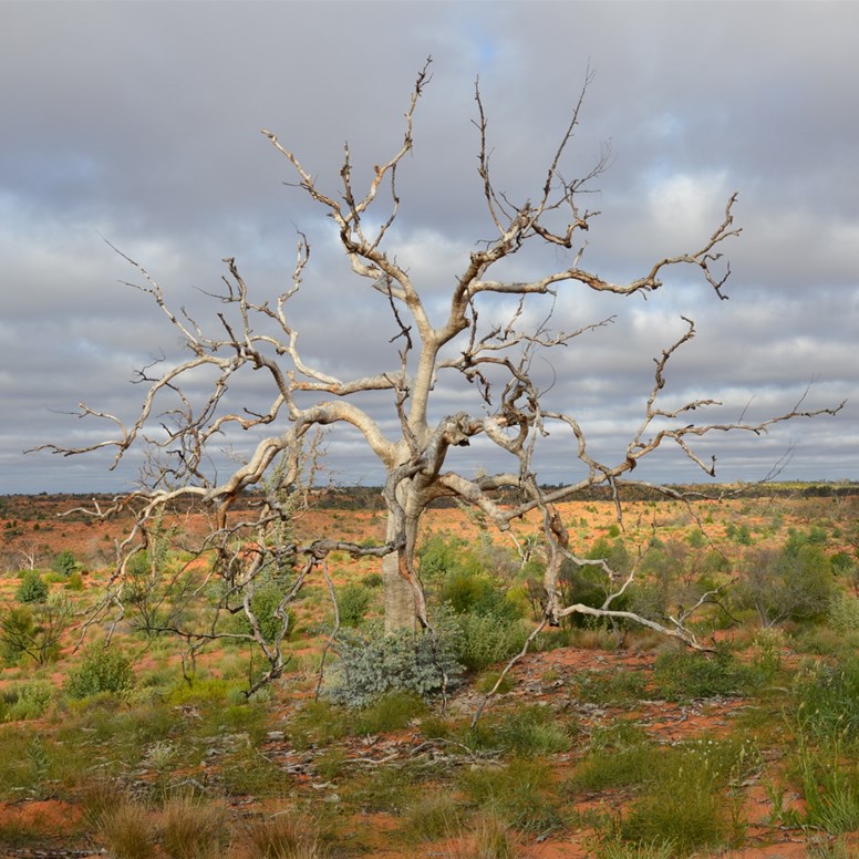 Those dark clouds did not look friendly on the BMR