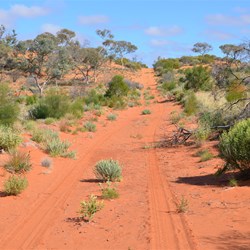 Regrowth along the BMR
