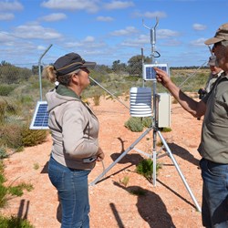 John and Suzette trying to work out what is what