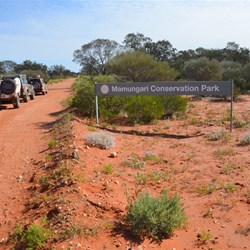 Entering the Mamungari Conservation Park on the Business Road