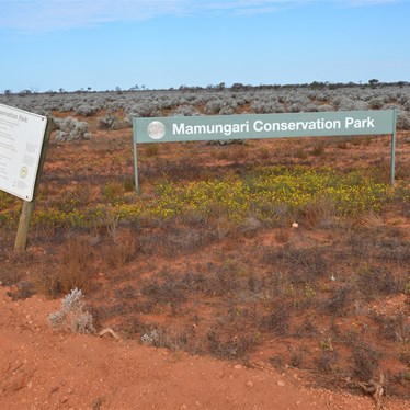 Leaving Mamungari Conservation Park at the Western Australian Border