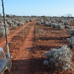 Time to head north towards Forrest Lakes