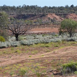 Changing scenery on the way north to Forrest Lakes