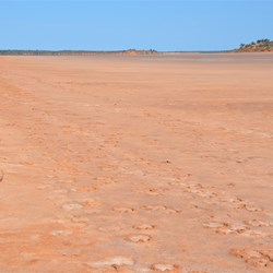 On the edge of Forrest Lakes 