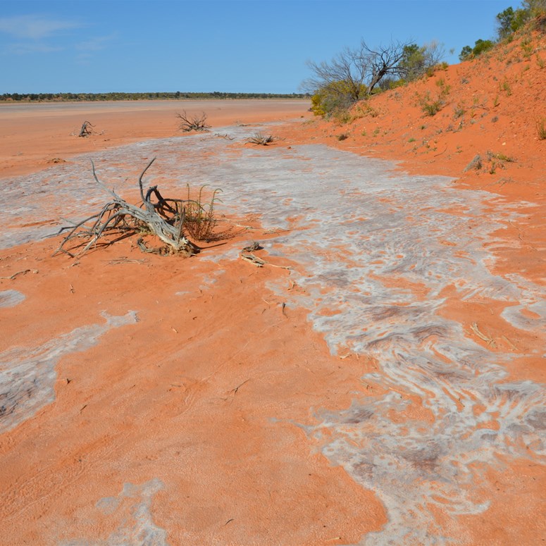 The base of the dune sits on solid rock