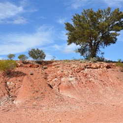Black Oak sits on top of an outcrop
