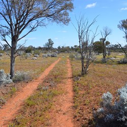 Time to head south again and south to the Business Road