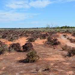 Crossing a small Lake on the way south
