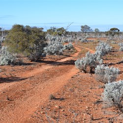 Heading South to Decoration Cave