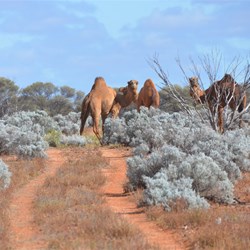 We encountered this traffic jam on the way south