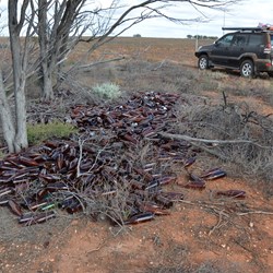 This is why it is called Bottle Corner Camp