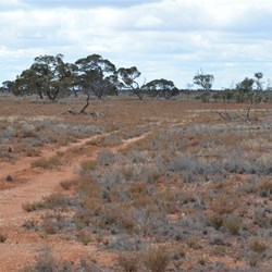 Taking a different track up to the Business Road