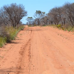 Passing through a burnt out section on the Business Road