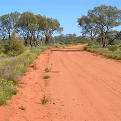 The main Aboriginal Road heading towards Tjuntjuntjarra 
