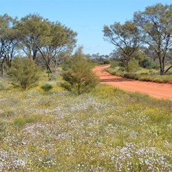 The main Aboriginal Road heading towards Tjuntjuntjarra 