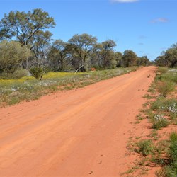 The main Aboriginal Road heading towards Tjuntjuntjarra 