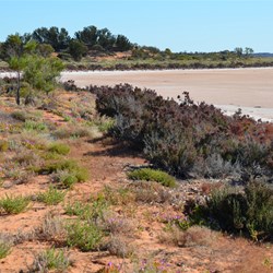 Western side of Serpentine Lakes
