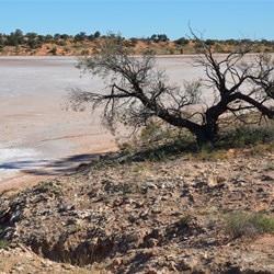 The track north led to this great location, overlooking Serpentine Lakes