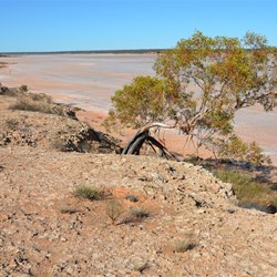 The track north led to this great location, overlooking Serpentine Lakes